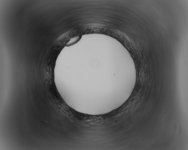 X0000086721062200705111550