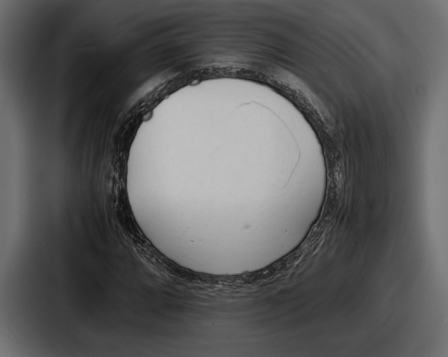 X0000086721064200705111550