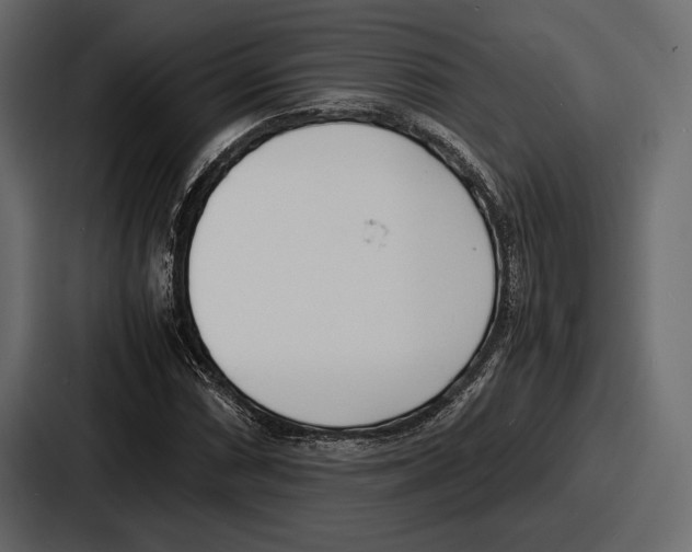 X0000086721066200705111550