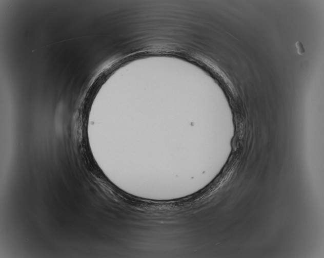 X0000086721067200705111550