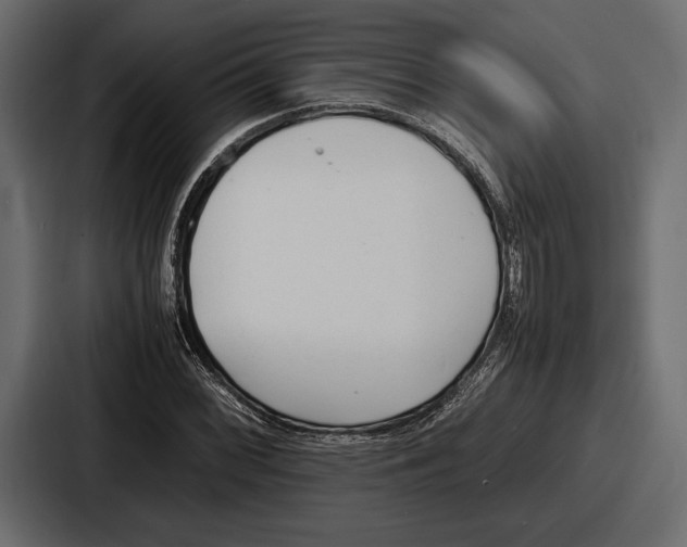 X0000086721068200705111550