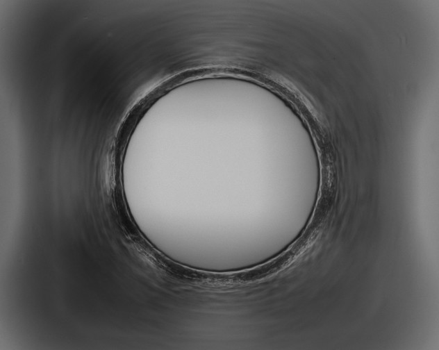 X0000086721069200705111550