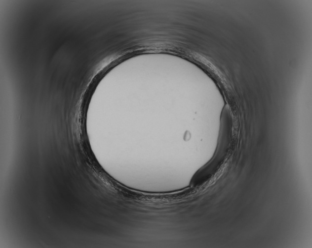 X0000086721071200705111550