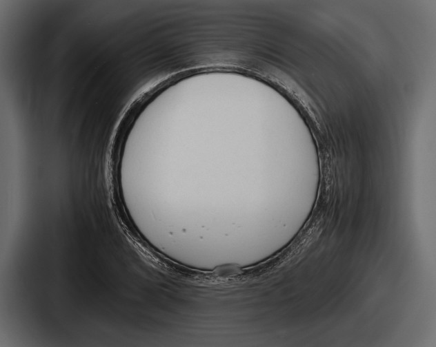 X0000086721072200705111550