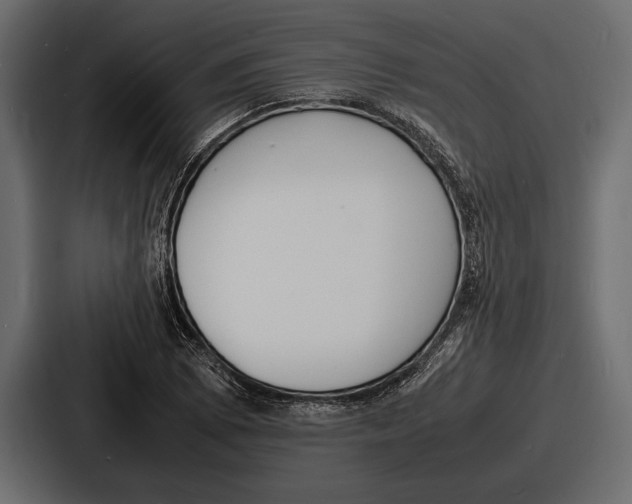 X0000086721073200705111550