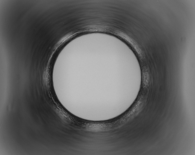 X0000086721074200705111550