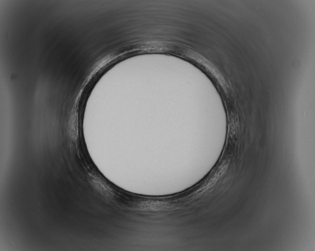 X0000086721075200705111550