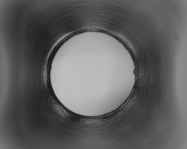 X0000086721076200705111550