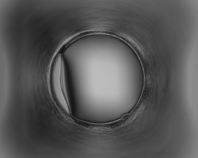 X0000086721077200705111550