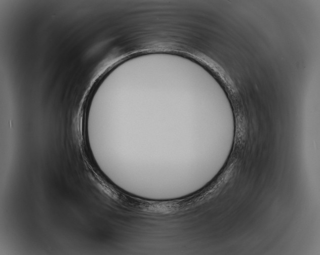 X0000086721078200705111550