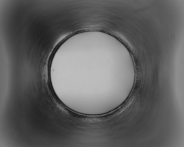 X0000086721079200705111550