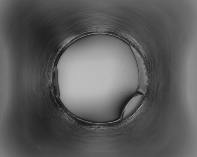 X0000086721081200705111550