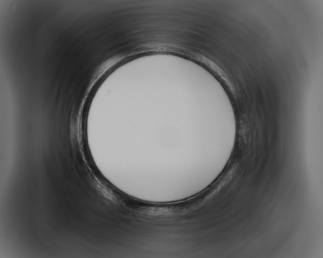 X0000086721082200705111550