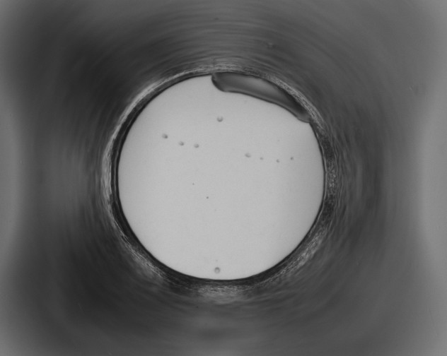 X0000086721083200705111550