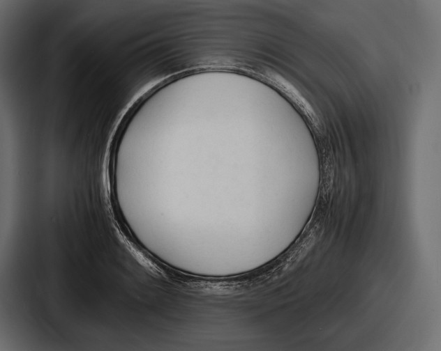 X0000086721084200705111550