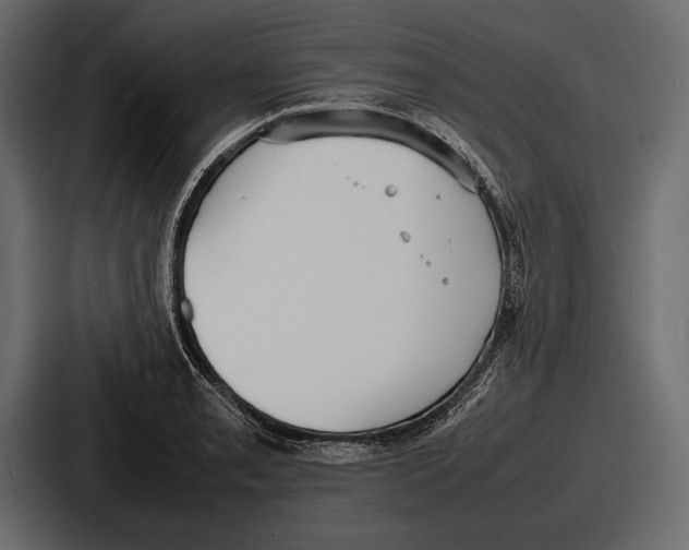 X0000086721085200705111550