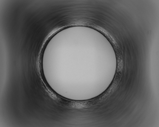 X0000086721086200705111550