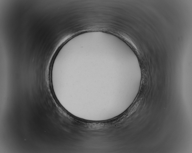 X0000086721087200705111550