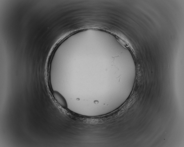 X0000086721088200705111550