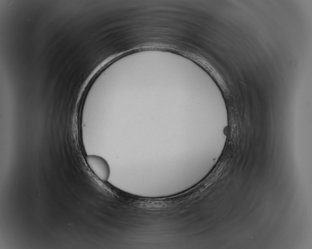 X0000086721092200705111550