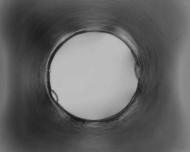 X0000086721093200705111550