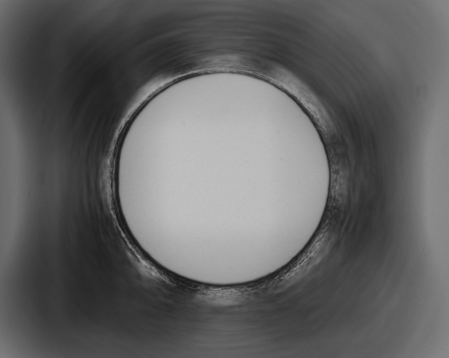 X0000086721094200705111550