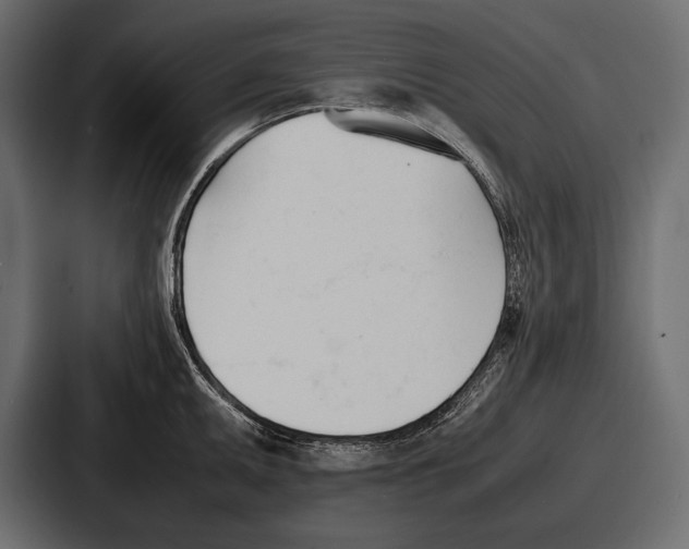 X0000086721095200705111550