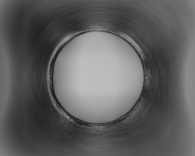 X0000086721096200705111550