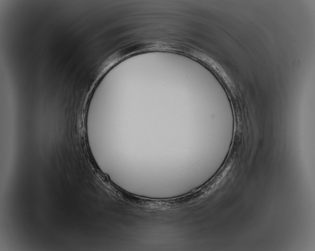 X0000086721097200705111550