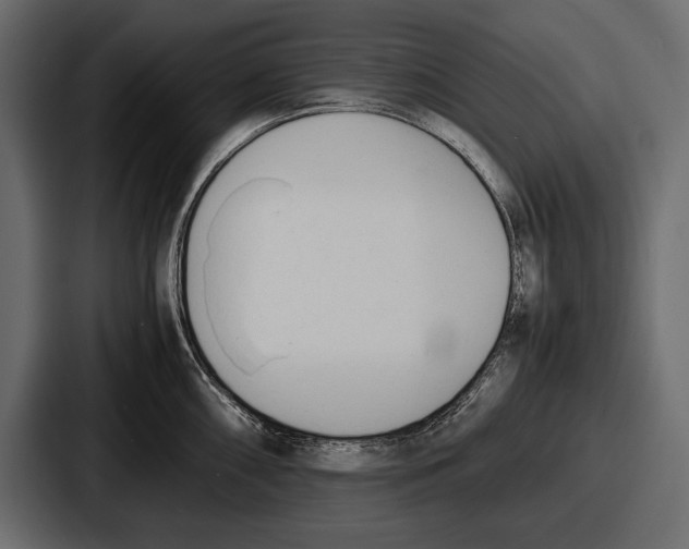 X0000086721098200705111550