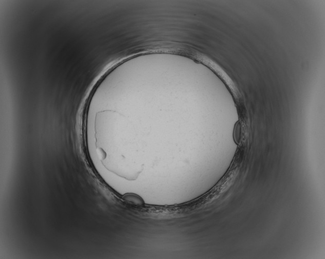 X0000086721099200705111550