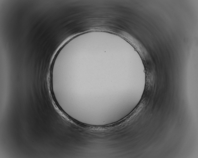 X0000086721100200705111550