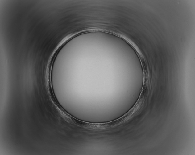 X0000086721101200705111550