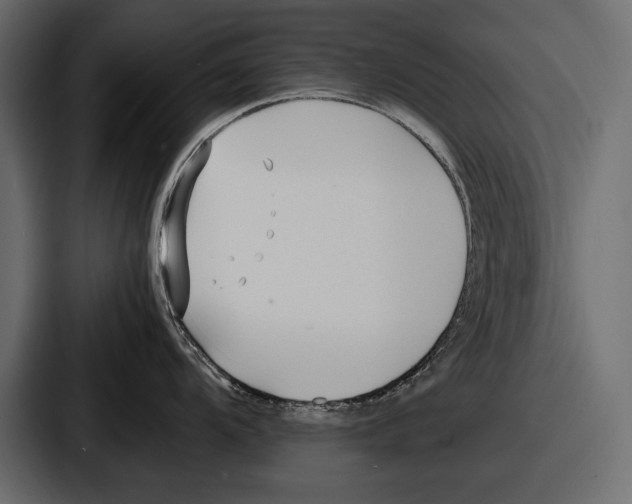 X0000086721104200705111550