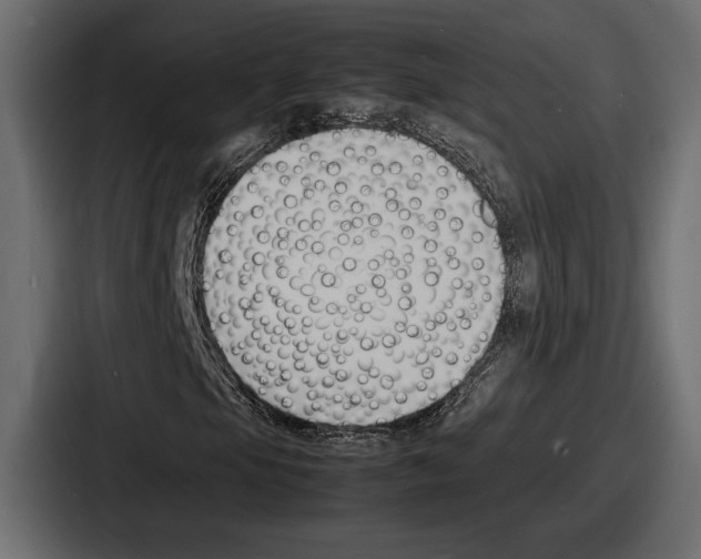 X0000086721105200705111549