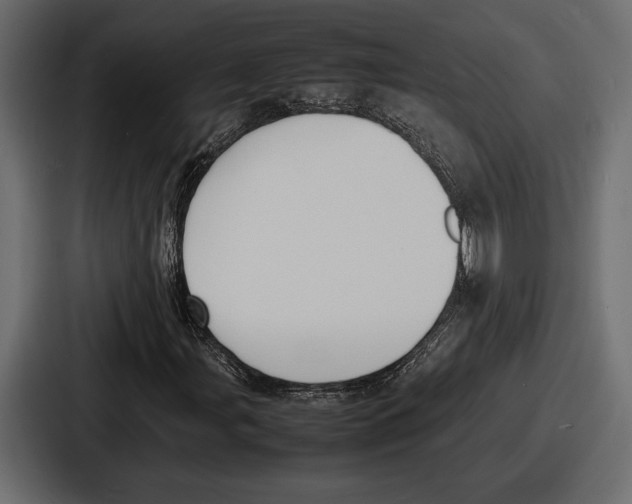 X0000086721107200705111549