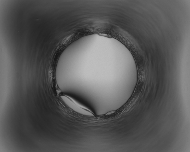 X0000086721108200705111549