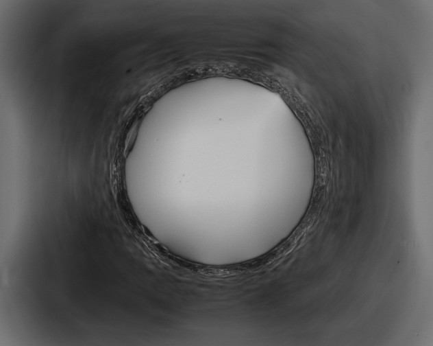 X0000086721109200705111549