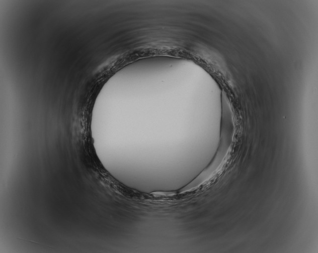 X0000086721110200705111549