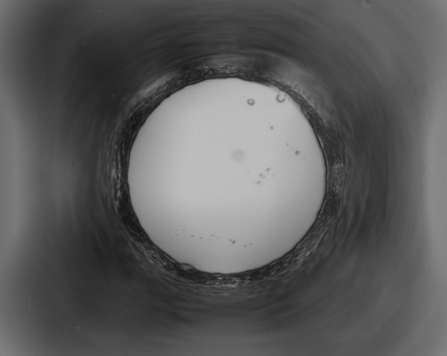 X0000086721111200705111549