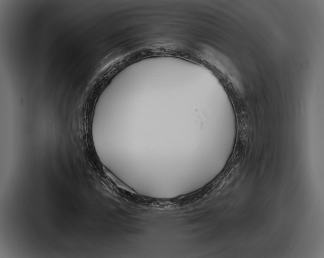 X0000086721112200705111549