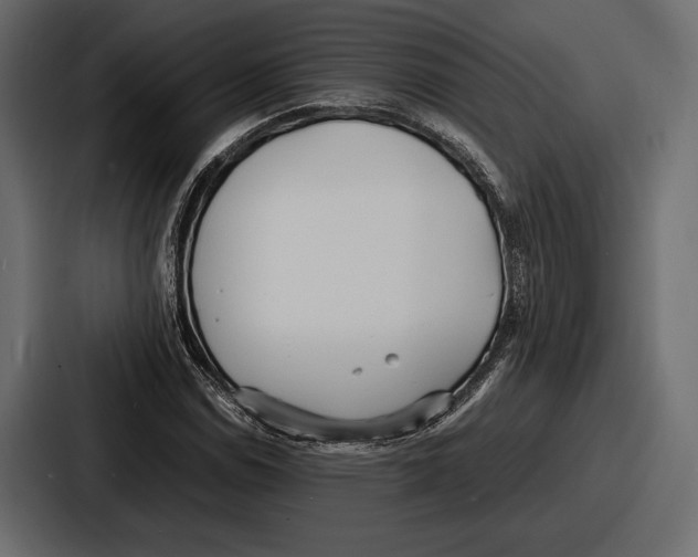 X0000086721114200705111549