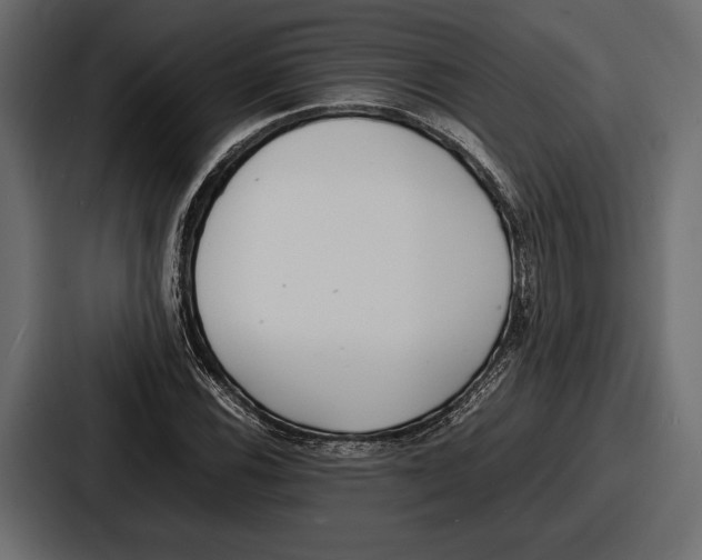 X0000086721116200705111549