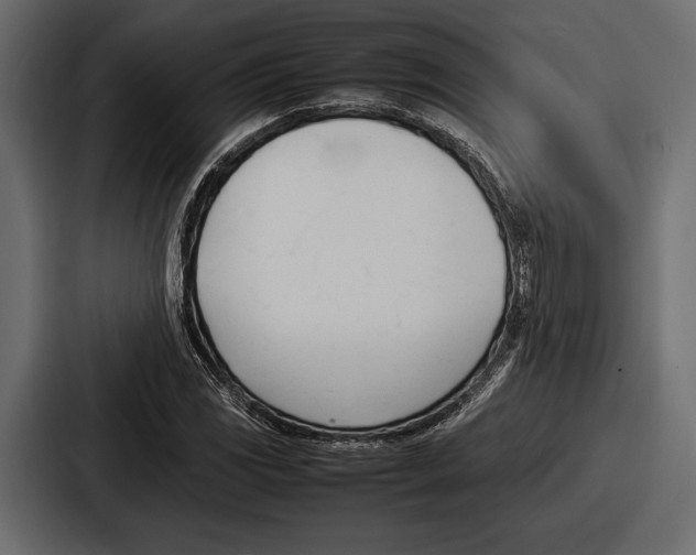 X0000086721117200705111549