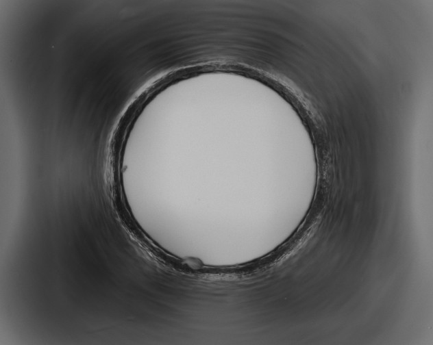 X0000086721118200705111549