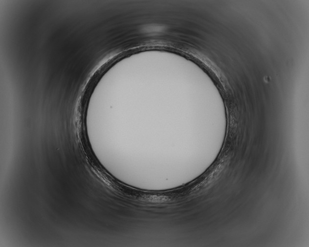 X0000086721119200705111549