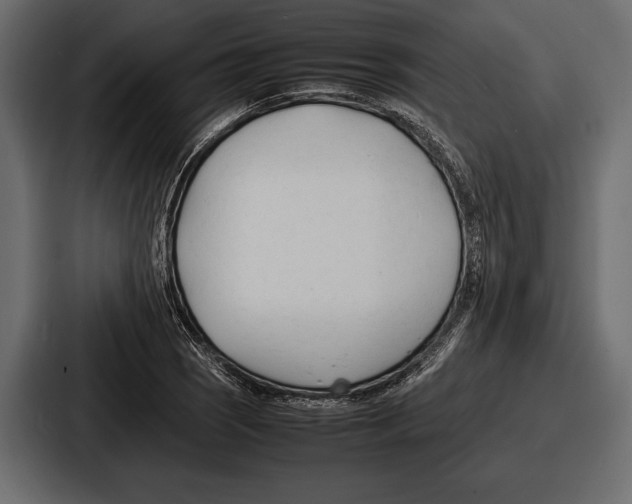 X0000086721121200705111549