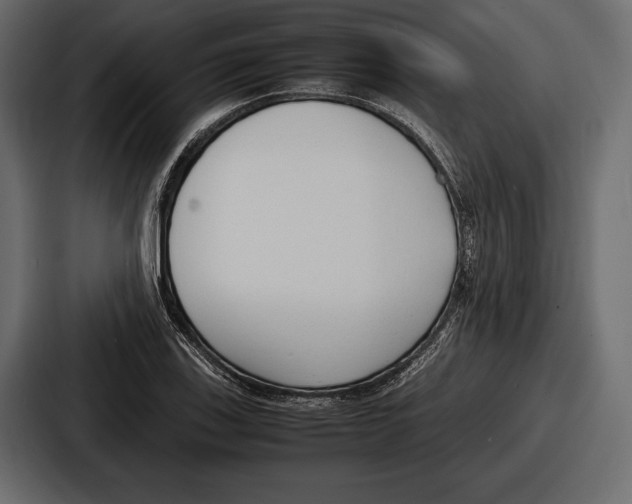 X0000086721123200705111549