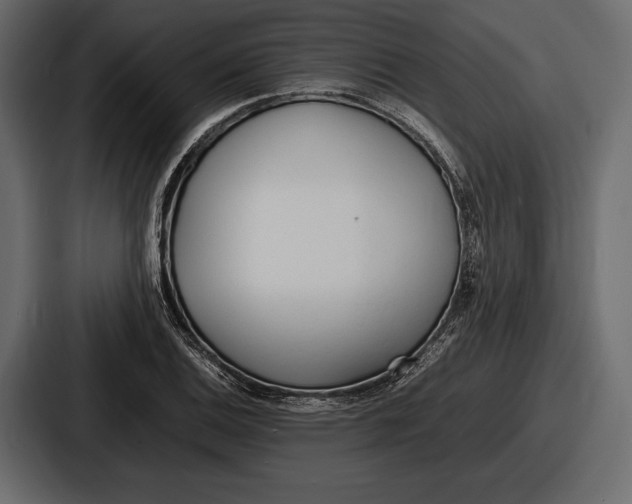 X0000086721124200705111549