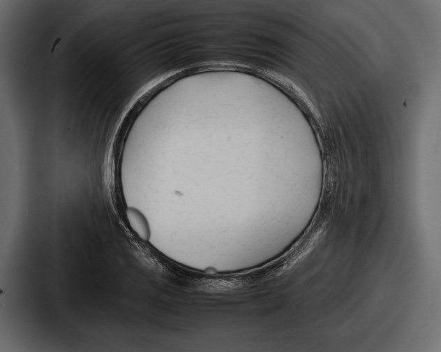 X0000086721125200705111549